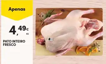 Continente PATO INTEIRO FRESCO KG promoção