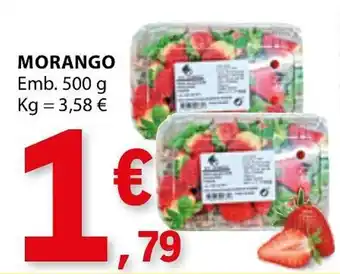 E.Leclerc MORANGO Emb. 500 g promoção