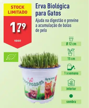 ALDI Erva Biológica para Gatos promoção