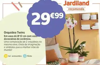 Jardiland Orquídea twins promoção