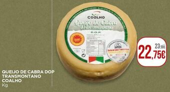 Queijo de cabra