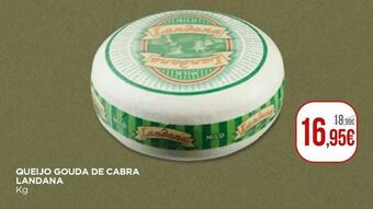 Queijo gouda