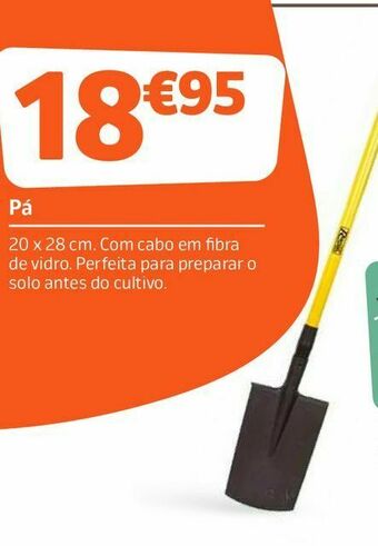 Pá