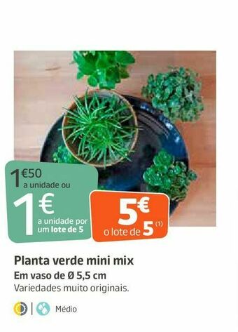 Jardiland Plantas promoção