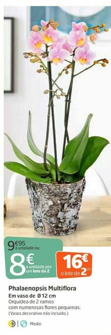 Jardiland Plantas promoção