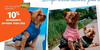 Jardiland Acessórios animais promoção