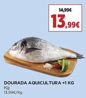 DOURADA AQUICULTURA +1 KG