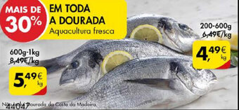 Dourada 200g-600g