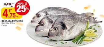 Dourada de Viveiro 200 a 600g