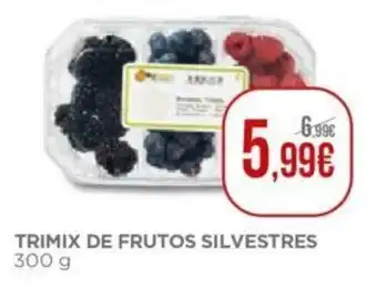 Trimix de Frutos Silvestres 300g