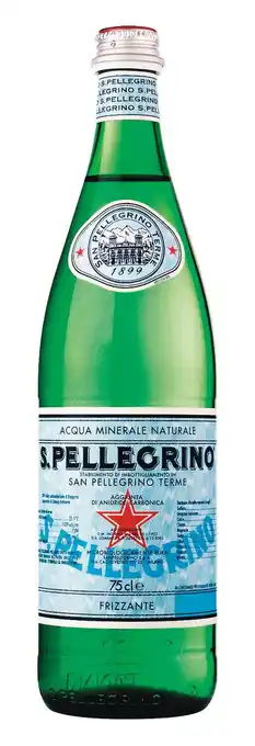 SAN PELLEGRINO Água Mineral Natural Com Gás Tara Perdida 75 Cl