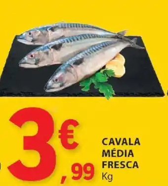 E.Leclerc CAVALA MÉDIA FRESCA Kg promoção