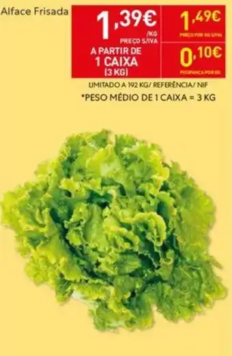 Recheio Alface Frisada promoção