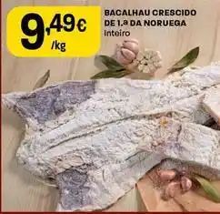 Intermarché Bacalhau crescido de 1.a da noruega promoção