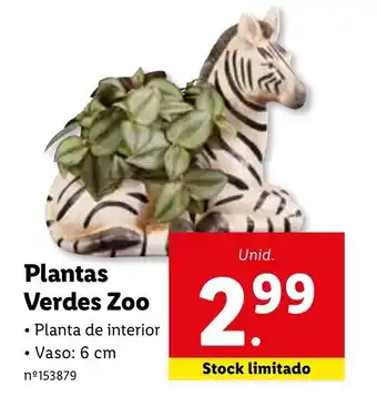 Lidl Plantas Verdes Zoo promoção