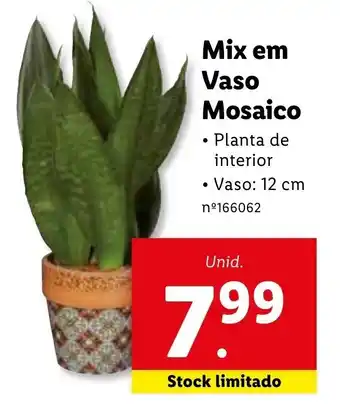Lidl Mix em Vaso Mosaico promoção