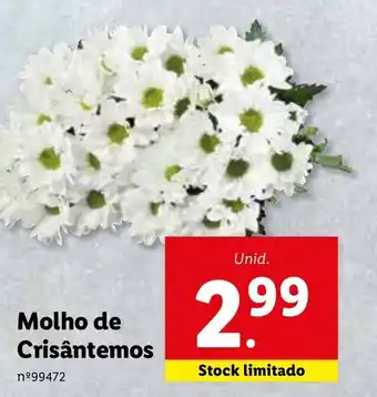 Lidl Molho de Crisântemos promoção