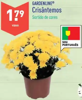 ALDI Gardenline Crisântemos Vaso promoção