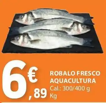 E.Leclerc ROBALO FRESCO AQUACULTURA Cal.: 300/400 g Kg promoção