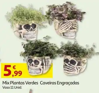 Auchan Mix Plantas Verdes Caveiras Engraçadas promoção