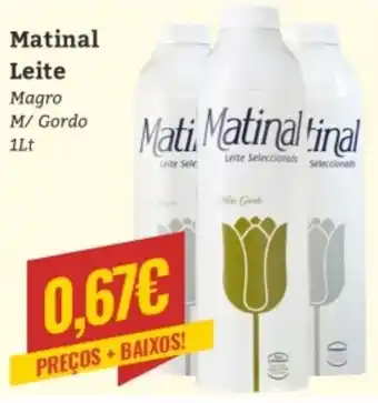 Matinal Leite Magro m/Gordo 1Lt