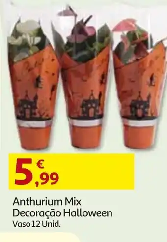 Anthurium Mix Decoração Halloween