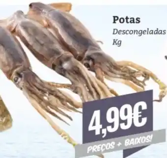 Potas Descongeladas