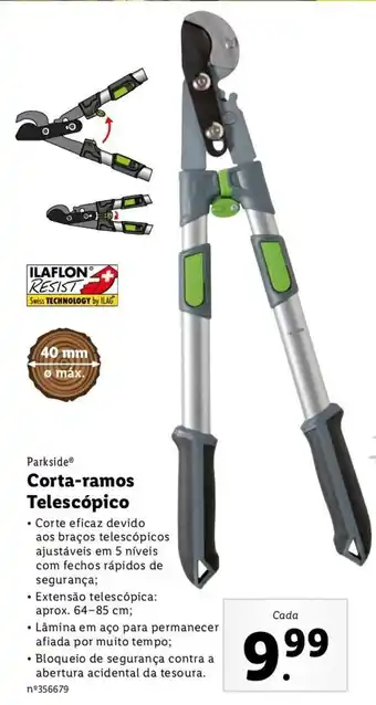 Lidl Corta-ramos Telescópico promoção