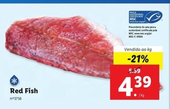 Red Fish