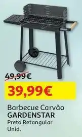 Auchan Gardenstar - barbecue carvão promoção