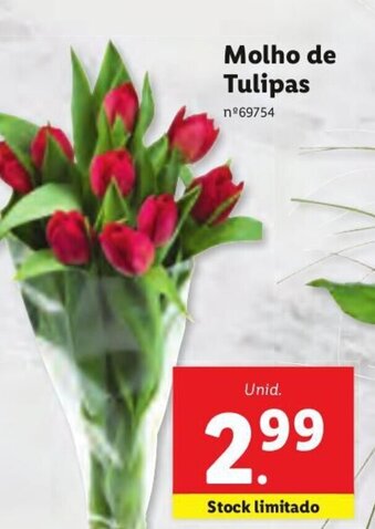 Lidl Molho de Tulipas promoção