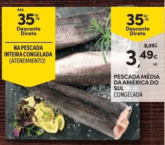 Continente Pescada Média da América do Sul promoção