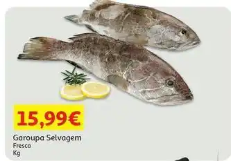 Auchan Garoupa selvagem promoção