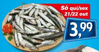 Bolama Sardinha Pequena Fresca promoção