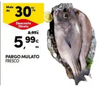 Continente PARGO MULATO FRESCO KG promoção