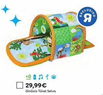 Brinquedos bebé