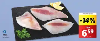 Lidl Raia Vendido ao kg promoção
