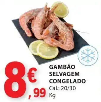 E.Leclerc GAMBÃO SELVAGEM CONGELADO Cal.: 20/30 Kg promoção