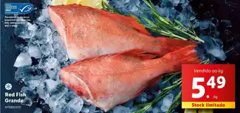 Lidl Red Fish Grande Vendido ao kg promoção