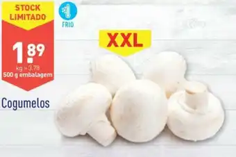 ALDI Cogumelos 500g XXL promoção