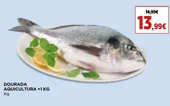 Supercor DOURADA AQUICULTURA +1 KG promoção