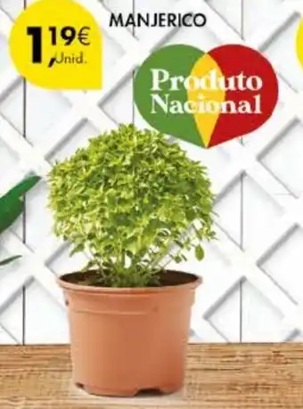 Pingo Doce MANJERICO promoção
