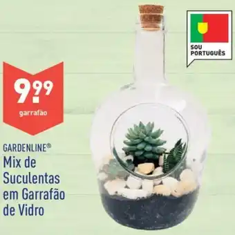 ALDI Gardenline Mix de Suculentas em Garrafão de Vidro promoção