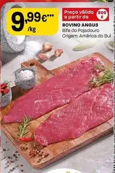 Bovino angus