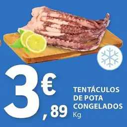 E.Leclerc TENTÁCULOS DE POTA CONGELADOS KG promoção