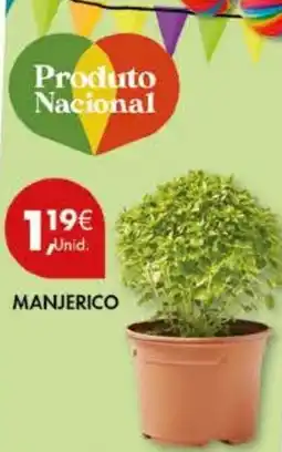 MANJERICO