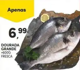 Continente DOURADA GRANDE +600G FRESCA promoção
