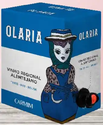 Froiz Vinho Alentejo Olaria Branco ou Tinto Box 5L promoção
