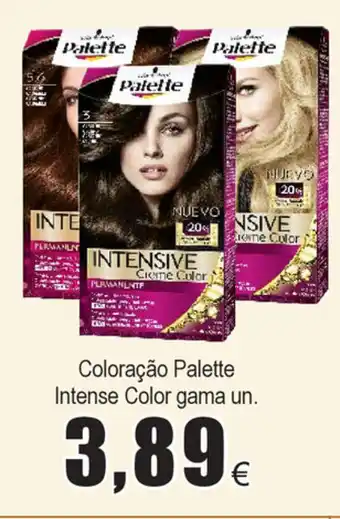 Coloração Palette Intense Color Gama