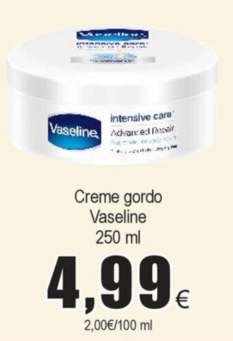 Froiz Creme Gordo Vaseline 250ml promoção